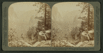 From Inspiration Point (E.N.E.) through Yosemite Valley, showing Bridal Veil Falls, Cal.