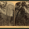 Ribbon Falls (2,000 ft. leap) looking north from the Valley near Merced River, Yosemite, California.