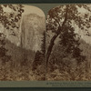 Ribbon Falls (2,000 ft. leap) looking N. from the Valley near Merced River, Yosemite, Cal.