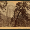 Ribbon Falls (2,000 ft. leap) looking north from the Valley near Merced River, Yosemite, California.
