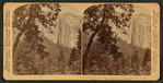 Ribbon Falls (2,000 ft. leap) looking north from the Valley near Merced River, Yosemite, California.