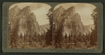 The 'Three Brothers' (Eagle Peak is center) from down the valley to wonderful Yosemite, Cal.
