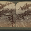 Nevada and Vernal Falls, and Cap of Liberty, from Glacier Point (E.S.E.) Yosemite Valley, Cal.