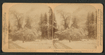 A Wintry touch to the splendor of Yosemite, California, U.S.A.