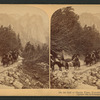 On the Trail to Mirror Lake, Yosemite Valley, Cal., U.S.A.