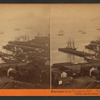 Panorama from Telegraph Hill, (No. 11.) Vallejo and Broadway Wharves.