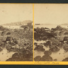 Telegraph Hill, [from Black Point.]