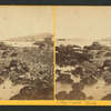 Telegraph Hill, [from Black Point.]
