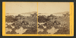 Telegraph Hill, [from Black Point.]