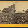 At the Cliff House, San Francisco.