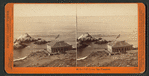 At the Cliff House, San Francisco.