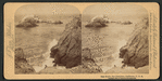 Seal Rocks, San Francisco, California.