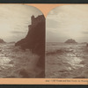 Cliff House and Seal Rocks by moonlight, San Francisco, Cal.