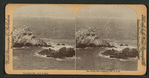 Seal Rocks, San Francisco, Cal.