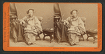 Chinese lady.