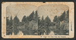 Golden Gate Park Pond.
