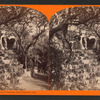 Rustic Walks, Woodward's Gardens, San Francisco, Cal.