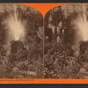 Rustic Fountain, Woodward's Gardens, San Francisco, Cal.