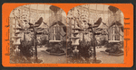 Banana trees, Woodward's Gardens, San Francisco, Cal.