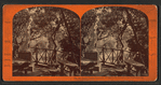 Rustic Picnic Grounds, Woodward's Gardens, San Francisco, Cal.
