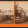 Garden view, Woodward's Gardens.