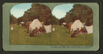 A glimpse of the quiet camp life of refugees in Golden Gate Park after the San Francisco disaster.