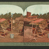 A make-shift camp on the border of desolation in the fire scourged disctrict of San Francisco.