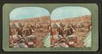 The refugee camps and shelters at Ft. Mason after the earthquake and fire disaster, San Francisco.