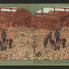 The never-ending search for the missing in the earthquake and fire devastated ruins of San Francisco.