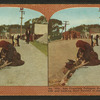 San Francisco refugees camped by the wayside and cooking their rations in the gutters.