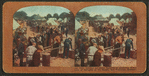 Serving out Army supplies to unending bread line of refugees at Ft. Mason, San Francisco disaster.
