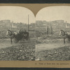 View of Nobb Hill, the millionaire residence district.