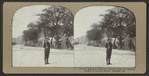 Seventh Regiment National Guards, from Los Angeles, camped in Lincoln Square, Oakland, Cal.