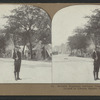 Seventh Regiment National Guards, from Los Angeles, camped in Lincoln Square, Oakland, Cal.