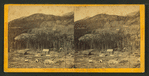Bakerville works near Georgetown, Col. Ter.