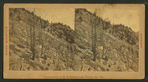 Nixson Lode, Brown Mountain, Georgetown, Colorado.