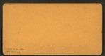 Leaning Towers, Perry Park.