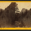 Turkey Creek Canyon.
