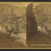 Beaver Brook, C.C.R.R. [Colorado Central Railroad].