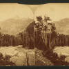 Needle Mountain. Animas Canon [Canyon].