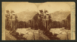 Needle Mountain. Animas Canon [Canyon].