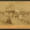 Miners loading supplies, Silverton, Col., U.S.A.