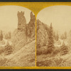 View of the Animas River in Baker's Park, Colorado, 1875.