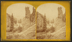 View of the Animas River in Baker's Park, Colorado, 1875.
