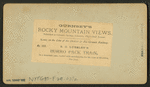 R. C. Luesley's burro pack train, in a mountain pass, loaded with merchandise for his store at Silverton, San Juan.