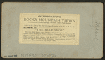 "The Mule shoe."