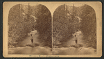 Tenderfoot fisherman.