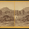 Palmer's ranch.