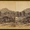 Palmer's ranch.