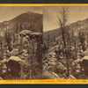 On Lake Creek, (or, View up Lake Creek).